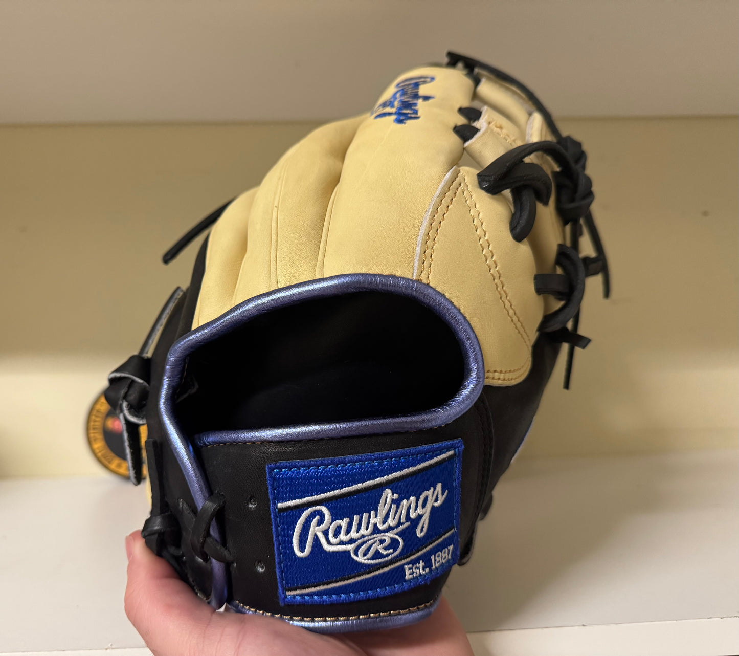 Rawlings Heart of the Hide PRONP4-2CR